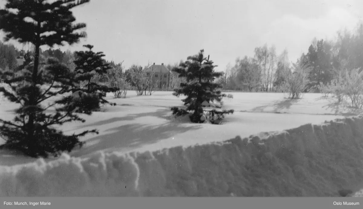 utsikt, snø, brøytekant, trær, bolighus