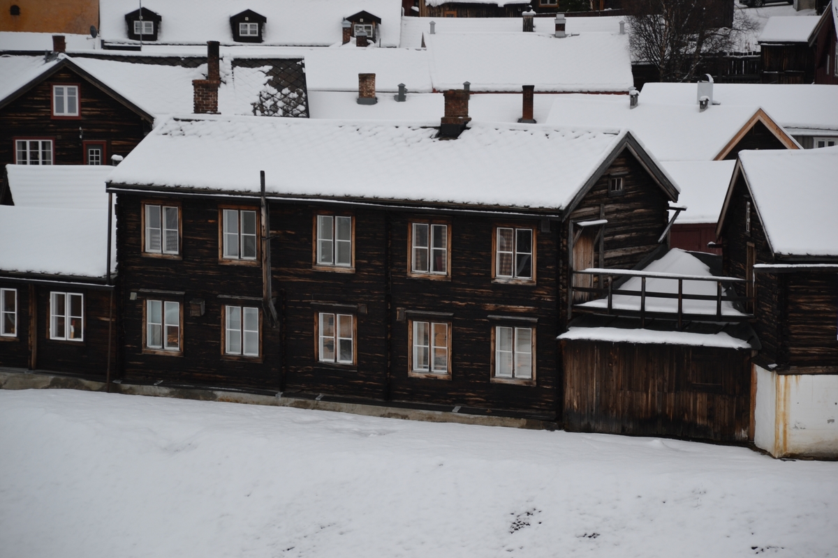 Steinbua er en av de nyere bygningene i Kurantgården, bygget som lagerskur engang mellom 1900 og 1950, og består av to bordvegger mellom Belgmakerstuggu og kontorbygningen. Taket er et pulttak tekket med papp. En to-fløyet port danner nedre del av veggen mot gårdsplassen i Kurantgården. Over taket er det ei gangbru mellom de to bygningene.
