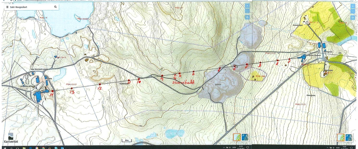 Taubanen på Storwartz ble satt opp i 1947. Opprinnelig sto den ved Muggruva, men ble flytta til Storwartz-området.
Banen har 14 bukker bygd av tre, og en strammebukk for stramming av kablene ved belastning. Banen er innrettet med et 2-tausystem med faste bæreliner i begge retninger og ei dragline som går rundt et draghjul i hver av taubanens endestasjoner. Banen ble drevet av en elektrisk motor som ytet ca. 22 hestekrefter. Motor og linetrekk er montert på endestasjonen på Storwartz. Motoren ga banen konstant hastighet på ca. 10 km/t.