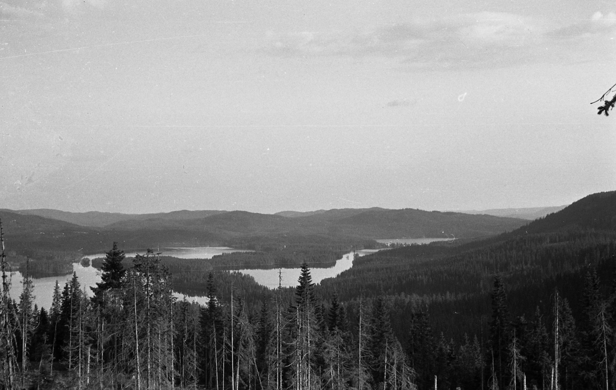 Fra venstre til høyre: Skyten, Våja, Groa, Skjellbreia og Skjerva. Bildet er tatt i juni 1953.