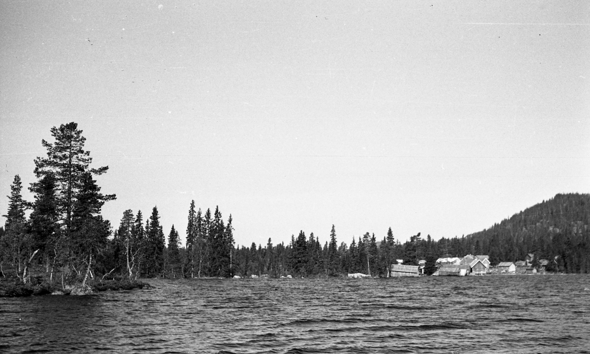 Dam i vestenden av Vassbråa. Bildet er tatt i juni 1953.