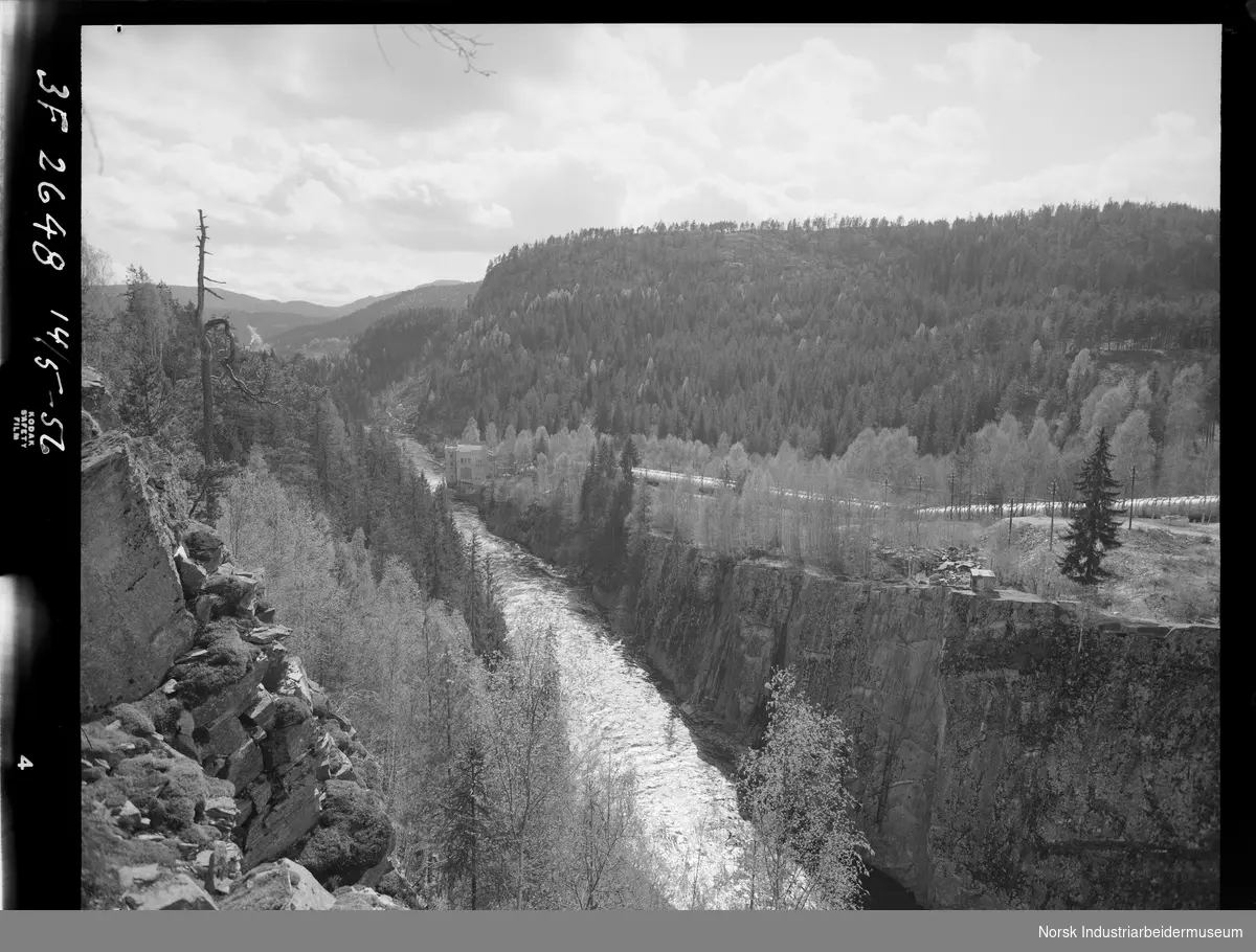 Gangsti langs vannet mellom Lienfoss kraftstasjon og Svelgfoss kraftstasjon, vestside. Rørgate ligger i terrenget.