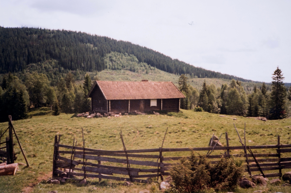 Knukvangen, seter, Stange Allmenning.