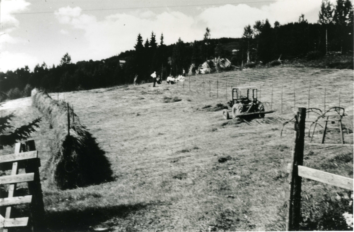 Klevmoen, N.Torpa
