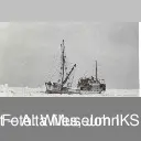 Helbilde av M/S Polis på Vesterisen.
