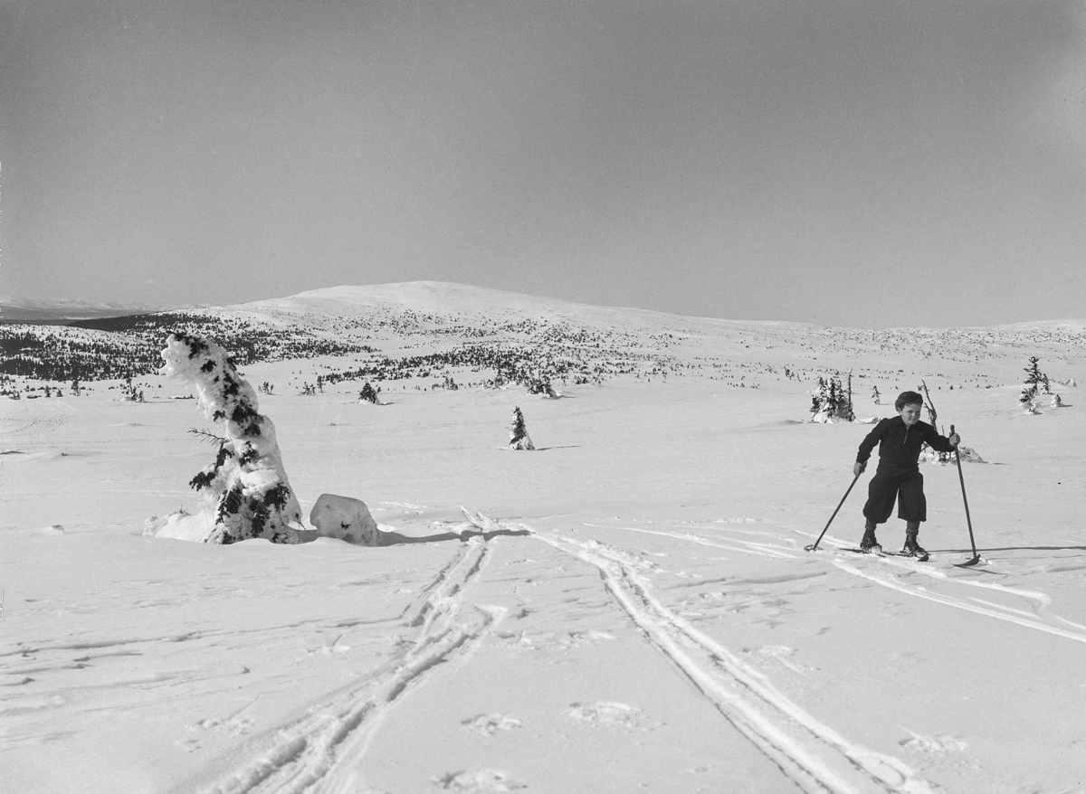 Nordsæter. Mot Neverfjell. Gutt på ski.