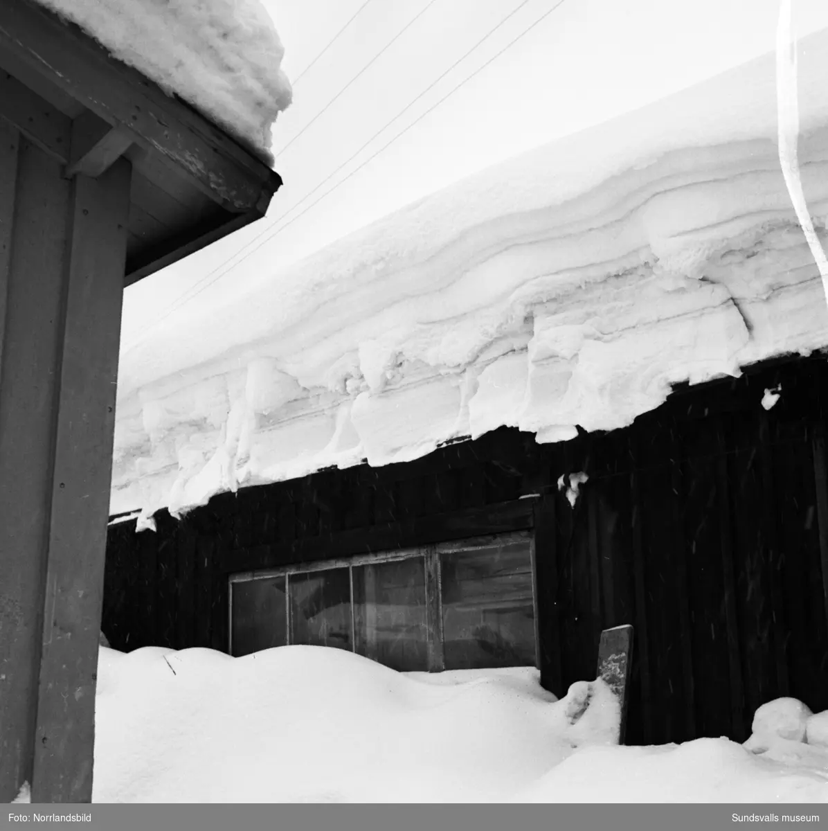 Snövintern 1951. Bilder från olika platser på glada barn som leker i snön. De tre första bilderna är troligen invid gamla Epidemisjukhuset vid Ludvigsbergsvägen, några av bilderna från parken norr om Flickskolan och GA-kyrkan.