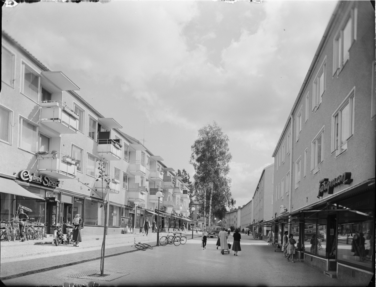 PARKAVDELNINGEN