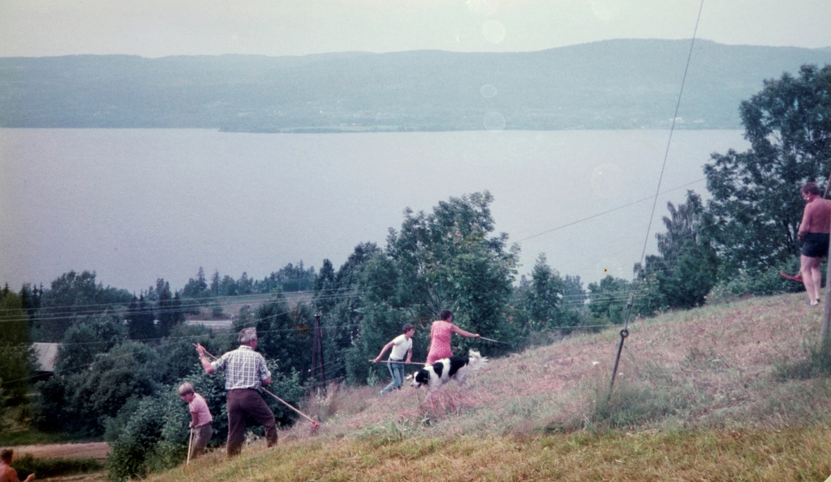 Mostue, øvre, slåttonn