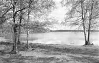 Tingsryd, sjön Tiken, 1946.