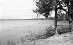Tingsryd, sjön Tiken, 1946.