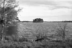 Öjaby, Helgasjön, 1946.