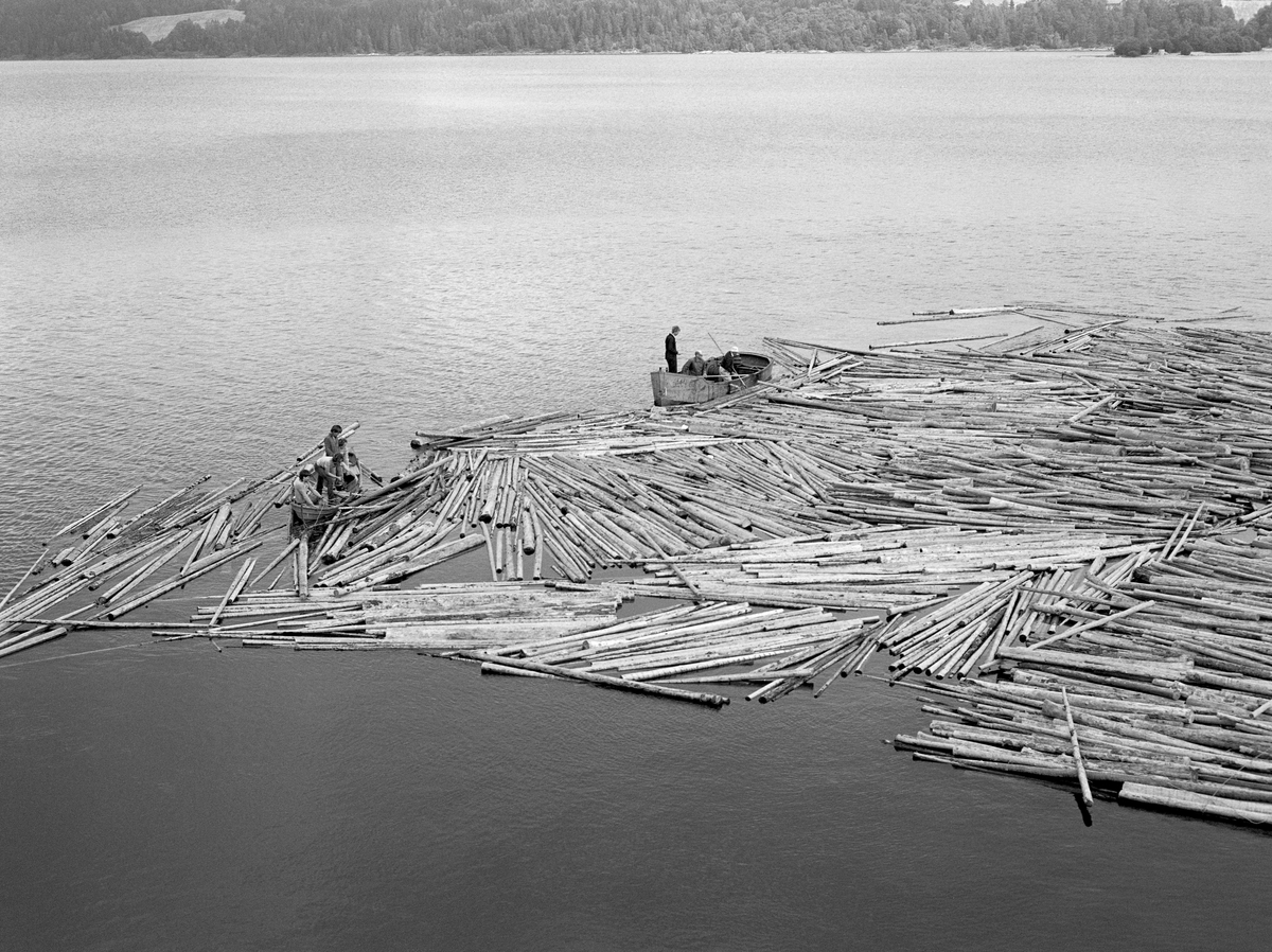 Tømmerslep som løses ved Sleppetangen i Spydeberg i Østfold, der nedre del av Glomma renner ut av innsjøen Øyeren.  Fotografiet later til å være tatt fra et høyt punkt, antakelig en bergknaus, Sleppetangen var det stedet der de store tømmerslepene fra Fetsund lenser i nordenden av Øyeren ble fortøyd, før slepene ble løst opp, slik at stokkene kunne flyte løst gjennom tømmerrennene forbi kraftverkene i elvepartiet nedenfor.  Da dette fotografiet ble tatt var arbeidet med løsinga av «mosene» (tømmerbuntene) kommet langt.  Ved slepets ytterkant lå det to båter med fløtere som løsnet og buntet gjenværende «grimer» (vaierbind).  Den ene båten er en liten robåt av tre, den andre en noe større og mer robust motordrevet jernbåt, «Kari», som ellers ble mye brukt i «etterrensken».  Arbeidet som vises på dette fotografiet ble altså utført fordi virket måtte fløtes løst øverst i nedre Glomma, hvor stokkene skulle gjennom tømmerrennene ved kraftverkene Solbergfoss, Kykkelsrud og Vamma, før de igjen kunne samles, sorteres, moses og slepes videre fra Glennetangen lense i Skiptvet. 