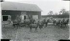 Romfartuna sn, Västerås, Tå.
Maskinparken på Tå gård, 1920-talet.