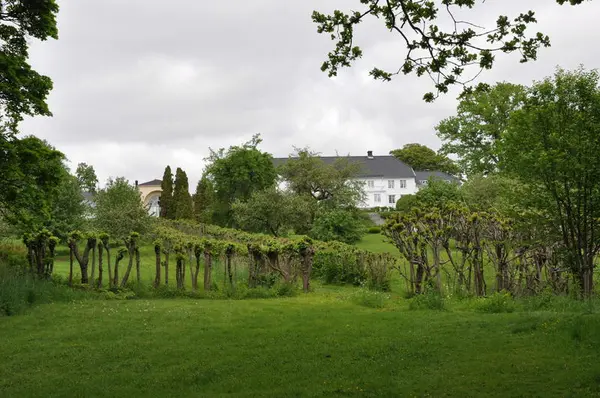 Rød Herregård sett fra parken