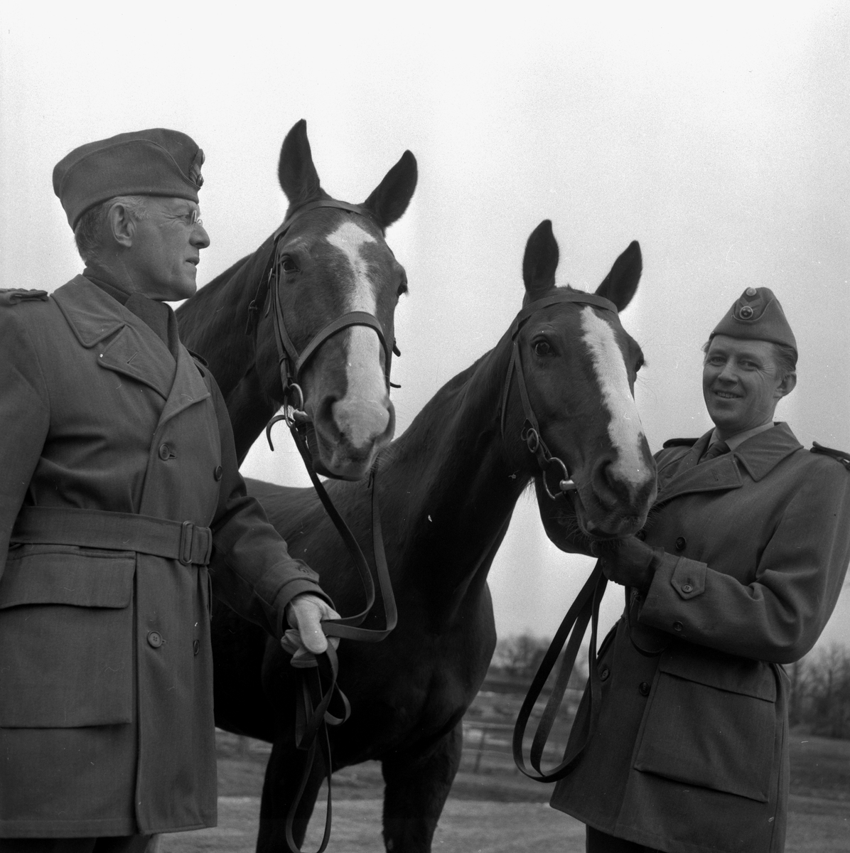 I3 hästar försvinner.
6 april 1959.