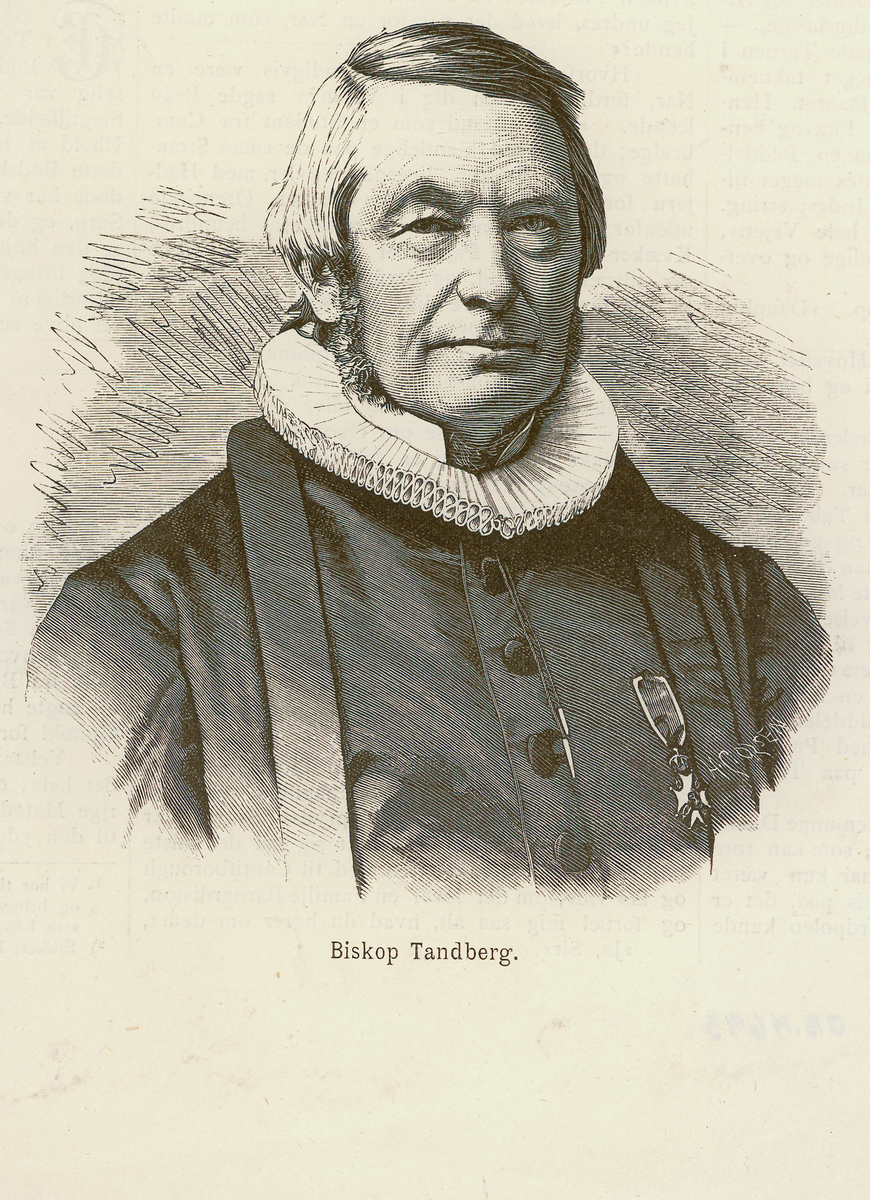 portrett, mann, brystbilde