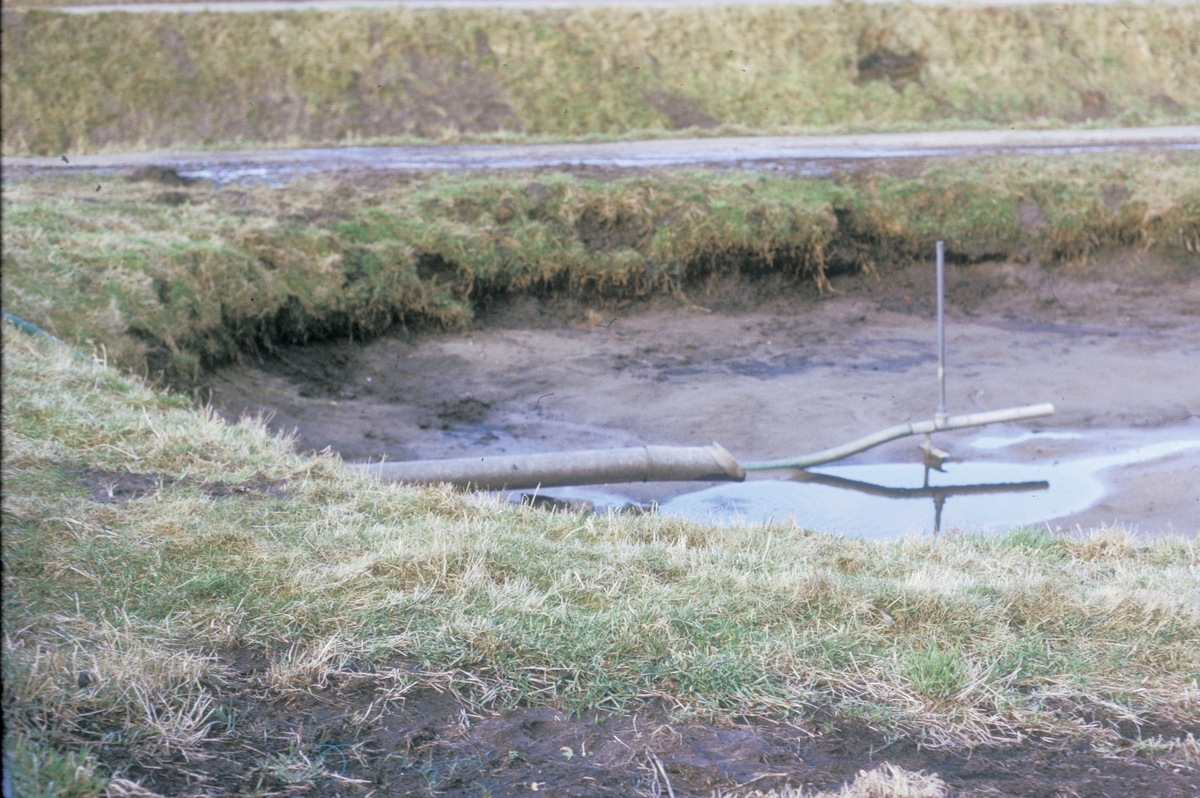 Forsøgsdambruget i Brøns, Danmark, 1974 : Tørrlagt jorddam. Røret som leder vann til dammen er synlig. Veien synes i bakgrunnen.