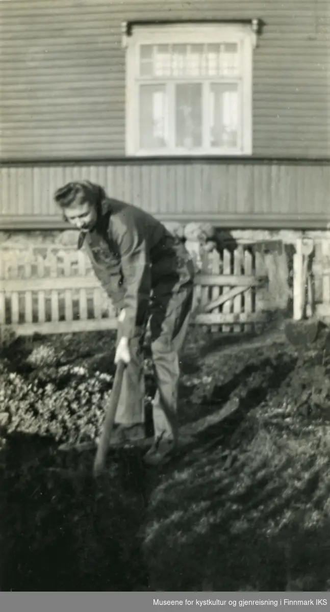 Honningsvåg. Potetkrisa i 1940. Reidun Kondrup, f. Hansen, spar opp bedene utenfor barndomshjemmet.