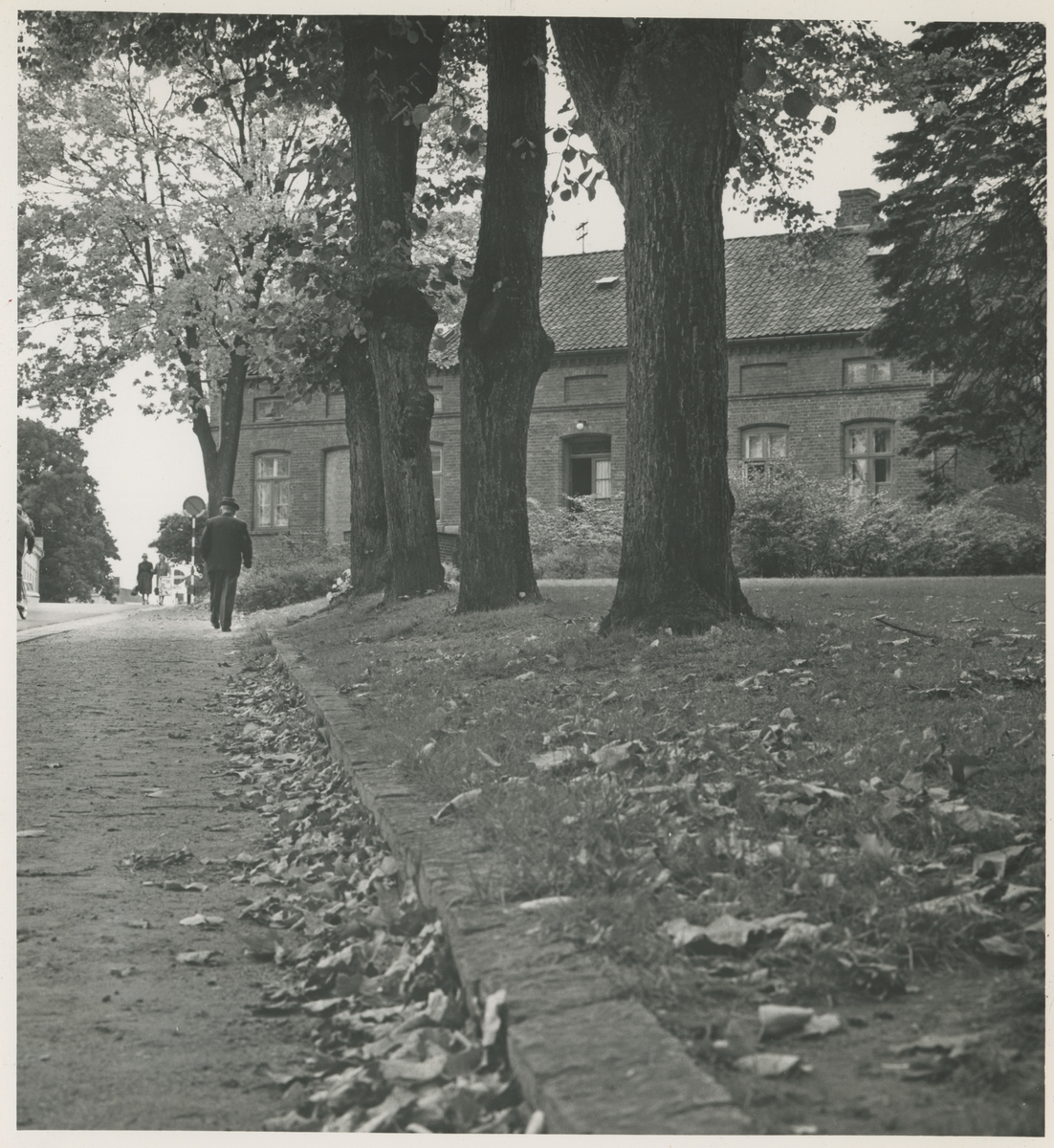 Tre gatebilder, 1970-årene. Trykk på pilen.

Bilde 1:
Frithjof Nansens gate mot syd. Øverst til venstre: sykehushagen (det tidligere sykehuset).

Bilde 2:
Fra Kirkeparken. I bakgrunnen: mursteinshus (leiegård) i Fleischers gate.

Bilde 3:
Kirkeparken med Moss Lysverker sin tidligere administrasjonsbygning hvor også Magda Lauritzen hadde sin fotoforretning.