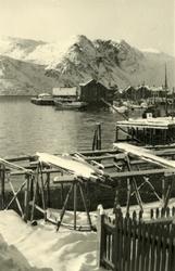 Honningsvåg. Bildet tatt fra Vågen. Dampskipskaia med bebygg