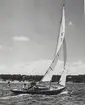 Från Bogskärsseglingen i juli 1953. Havskappsegling Sandhamn-Bogskären-Gotska Sandön.

På bild: Olle Enderlein, Claes Cederblad, Harley Hult och David Sundbaum.