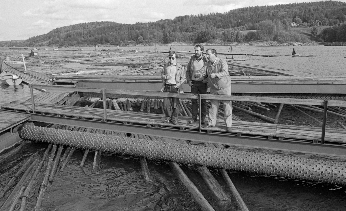 Fra inntaket til retteanlegget ved Glennetangen lense i nedre Glomma.  Fotografiet viser tre karer som står på ei bru mellom flåtegangene som omgir «renna» der tømmeret føres inn i lenseanlegget.  Mannen til venstre, med vindjakke og solbriller, er Øivind Vestheim fra Norsk Skogbruksmuseum. I 1984-85, de to siste sesongene det var fløting i Glomma, arbeidet Vestheim med å dokumentere virksomheten.  Ved sida av ham (i midten) står Magne Rugsveen, som på dette tidspunktet var nyansatt vit. ass. ved museet. Mannen til høyre, som gestikulerende forsøker å forklare noe, var antakelig ansatt i Glomma fellesfløtingsforening.  Muligens kan dette være Arne Skaar. Under brua ser vi en piggvalse, som antakelig roterte og dermed skubbet fløtingsvirket inn i retteanlegget. Bakenfor ser vi den nedre delen av beholdningslensa, hvor det fløter en del løstømmer. Et stykke oppe i denne lensa ser vi en «traktorbåt», en farkost med robust skrog, som ble brukt til å skubbe tømmeret i ønsket retning, i dette tilfellet fra beholdningslensa mot retteapparatet. På yttersida av en av flåtegangene, helt til venstre i bildet, ser vi en liten båt med påhengsmotor. Slike brukte arbeiderne her for å komme seg til og fra ulike deler av lenseanlegget. I bakgrunnen inne på land, til høyre i bildet, skimter vi gardsbruket Finnskott.