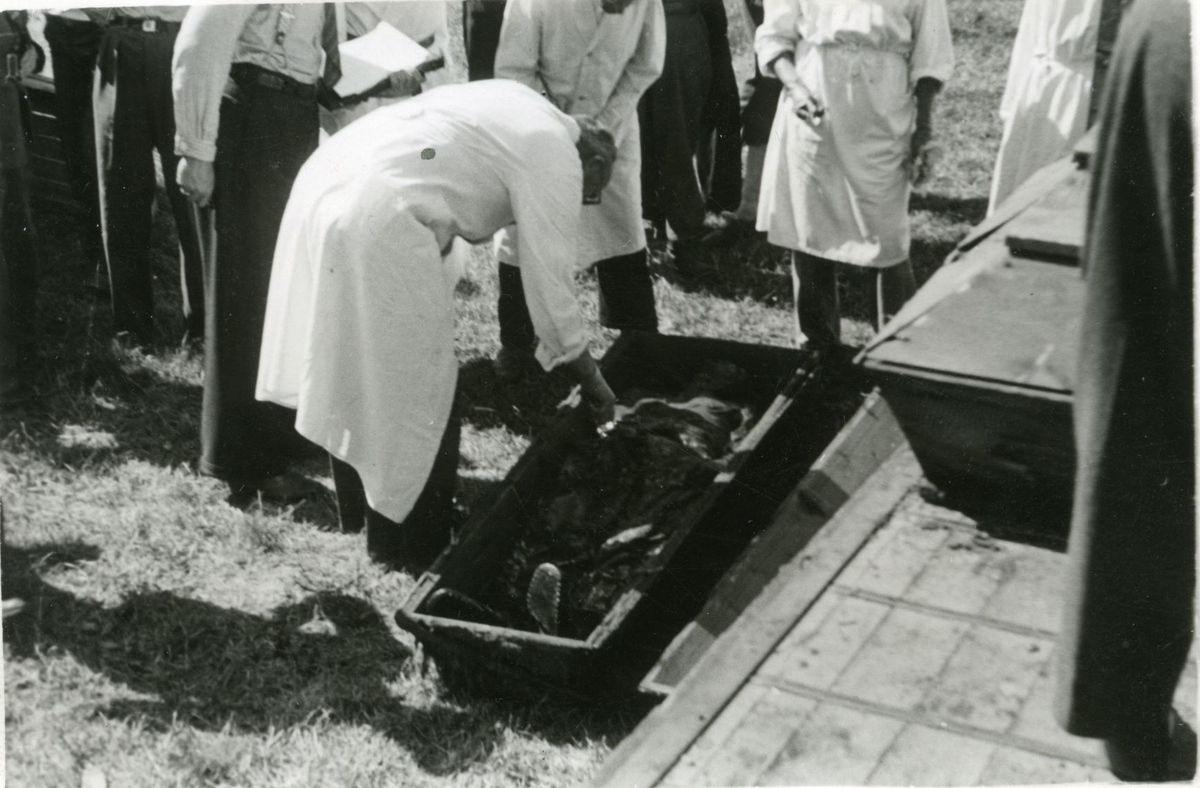 Landssvikere og krigsforbrytere