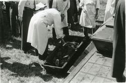 Landssvikere og krigsforbrytere