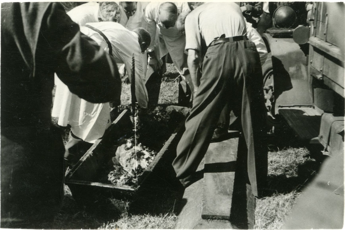 Landssvikere og krigsforbrytere