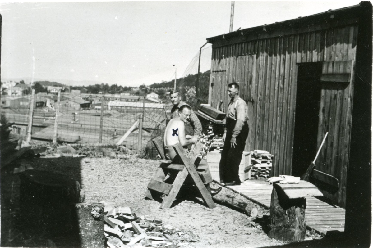 Landssvikere og krigsforbrytere