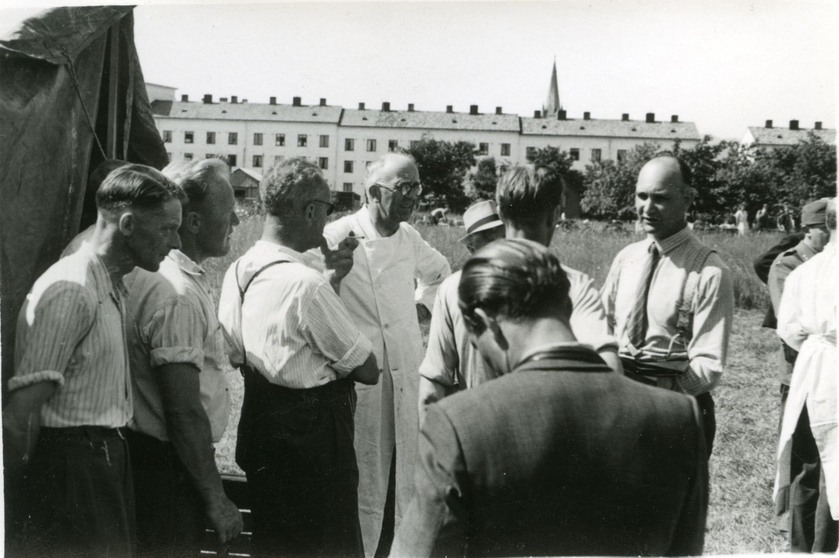 Landssvikere og krigsforbrytere