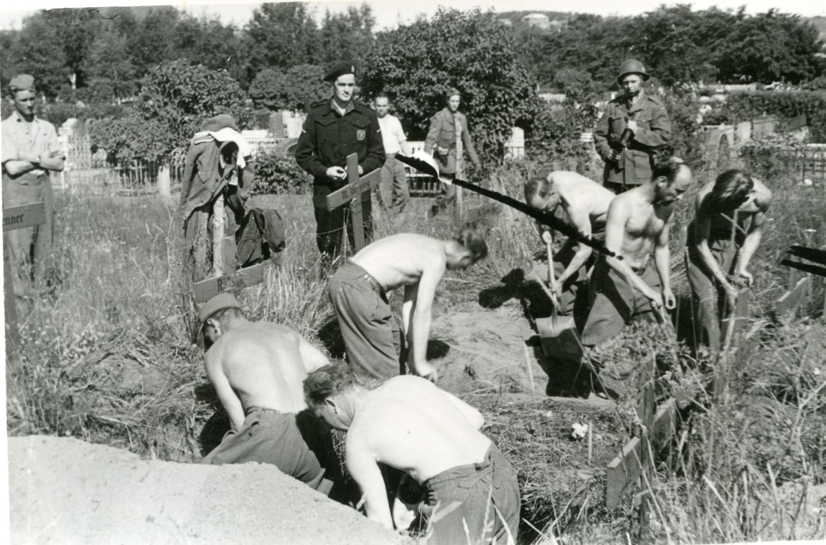 Landssvikere og krigsforbrytere