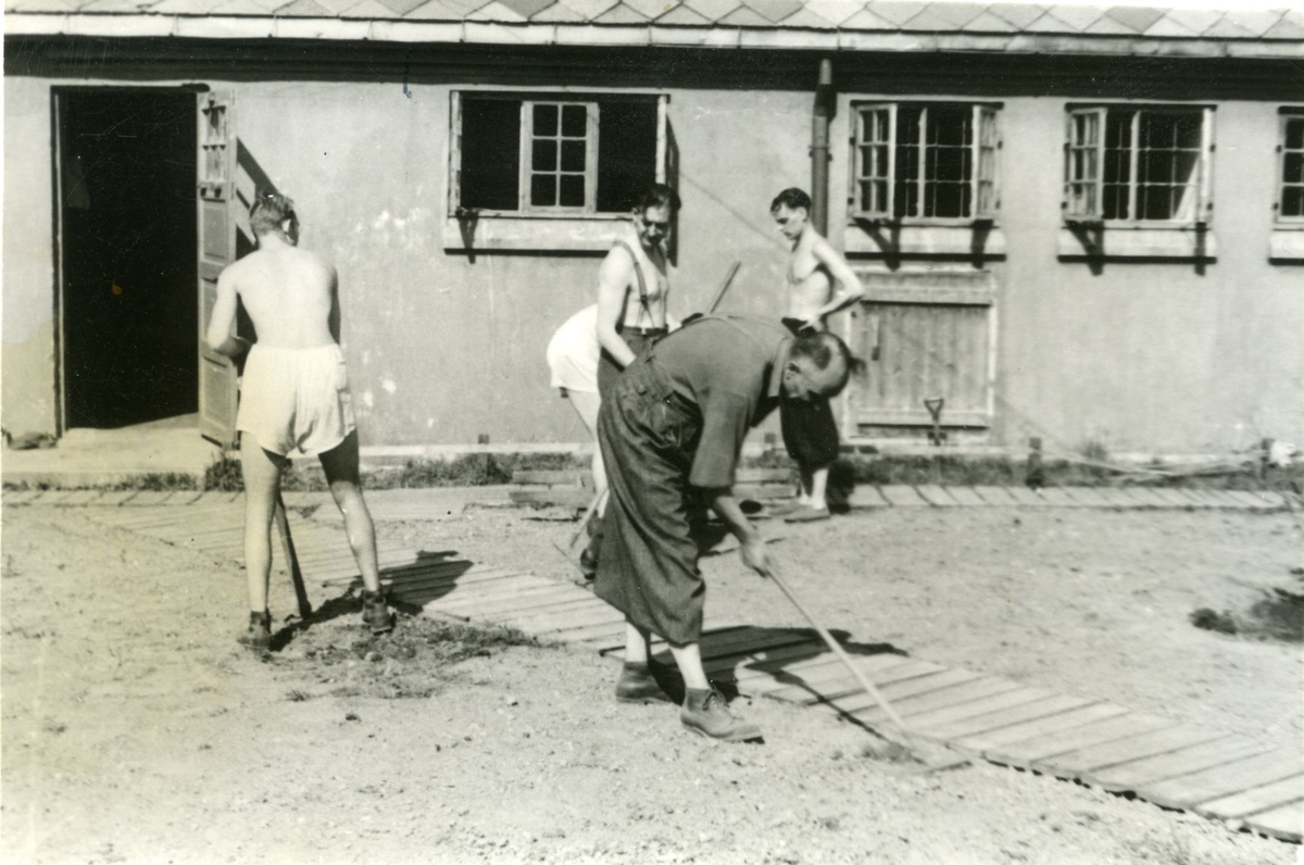 Landssvikere og krigsforbrytere