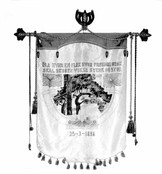 Fanen er malt på silke, det som ikke er malt er lilla i farven, snorene er også lilla. Motivene på fanen er fra skogen og har barn med. Dessuten står følgende inskripsjon: "Paa hver en flek hvor frøkorn gror skal skogen vokse sterk og stor", og på den andre siden: "Skogens venner"-  Som pynt på toppen av fanen og i hver ende på tverrstangen er det utskåret i tre og malt granbar med kongler.  Kongler av stoff henger også på selve fanen.  Gjenstanden består i alt av 8 deler (inkludert kasse). Se mer informasjon om hver enkelt del av gjenstanden se under gruppering.