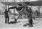 Flygplan Gloster Gladiator gul F görs klart för start. Två mekaniker i arbete vid propeller. Vid F 19, Svenska frivilligkåren i Finland, 1940.
