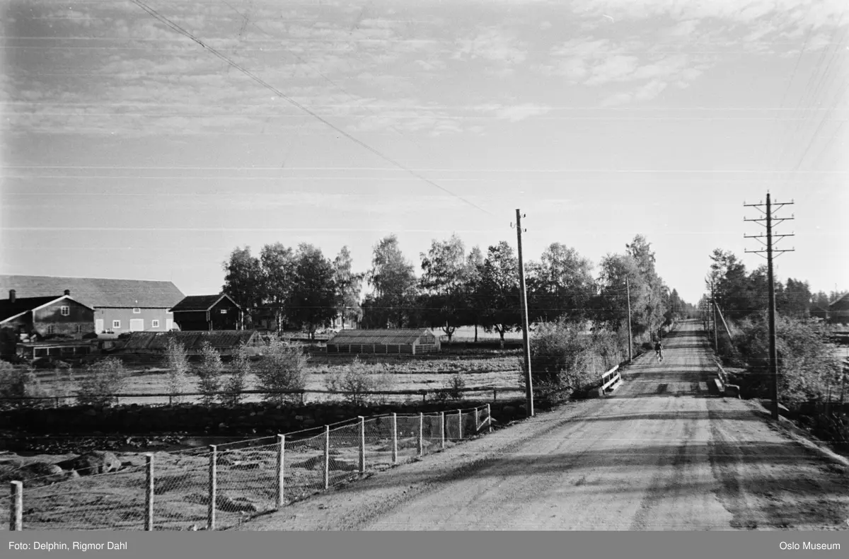 vei, bro, elv, kulturlandskap, Midtskogen gård, drivhus, telefonstolper