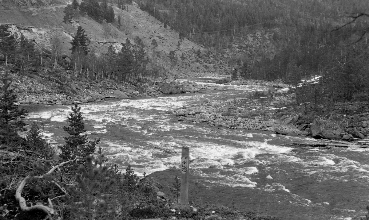 Elvelandskap fra Øvre Folla, altså den delen av dette vassdraget som renner gjennom Folldal kommune. På det stedet der dette fotografiet er tatt går elva i hellende terreng der vannet passerte kvitskummende over en del steinblokker.  Slike hindringer kunne stanse fløtingstømmeret, som lett bandt seg i digre hauger. Rivinga av slike tømerhauger skapte mye merarbeid som på enkelte steder også kunne bli farlig for fløterne. I etterkrigsår med stigende arbeidslønninger og stadig lettere tilgang på robuste anleggsmaskiner hendte det at stein og grus i elveløpene ble fjernet ved hjelp av bulldosere med sikte å skapte bedre passasjer for tømmeret. Vi vet ikke om det ble gjort denne typen «elveforbedring» her etter at den regionale fløtingsinspektøren tok dette fotografiert i 1964. En stolpe i forgrunnen med påskriften «Ø.F.4» kan ha vært en markør som for slike inngrep i elveleiet. 

I 1964 var det innmeldt 18 463 tømmerstokker (til sammen 2 567 kubikkmeter) til fløting i Øvre Folla, iberegnet sidevassdraget Grimsa.