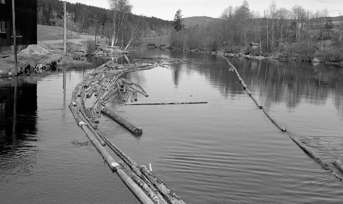 Fra vannspeilet på en av fløtingsdammene i Nitelvda i Nittedal kommune. Dette fotografiet ble tatt våren 1960. Det viser hvordan fløterne hadde lagt ledelenser fra elvebreddene i den øvre delen av dammen - som flytende stengsel - som skulle lede laustømmer fra den ovenforliggende delen av vassdraget mot tømmerløpet i den nedenforliggende dammen.