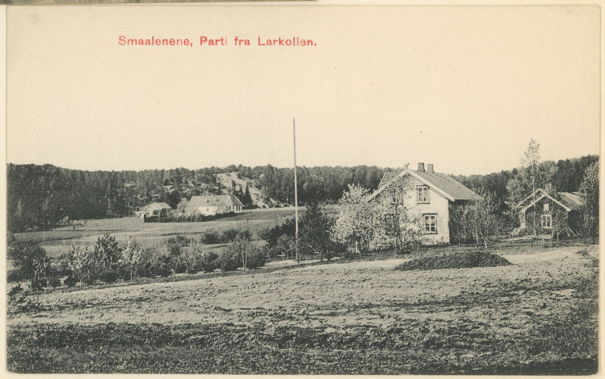 Larkollen, fire postkort, ca. 1910.

Bilde 1:
"Røeds Hotel, Larkollen".

Bilde 2:
"Smaalenene. Botner, Rygge."

Bilde 3:
"Smaalenene, Parti fra Larkollen."

Bilde 4:
"Parti ved Haagensens Landhandleri, Larkollen."
