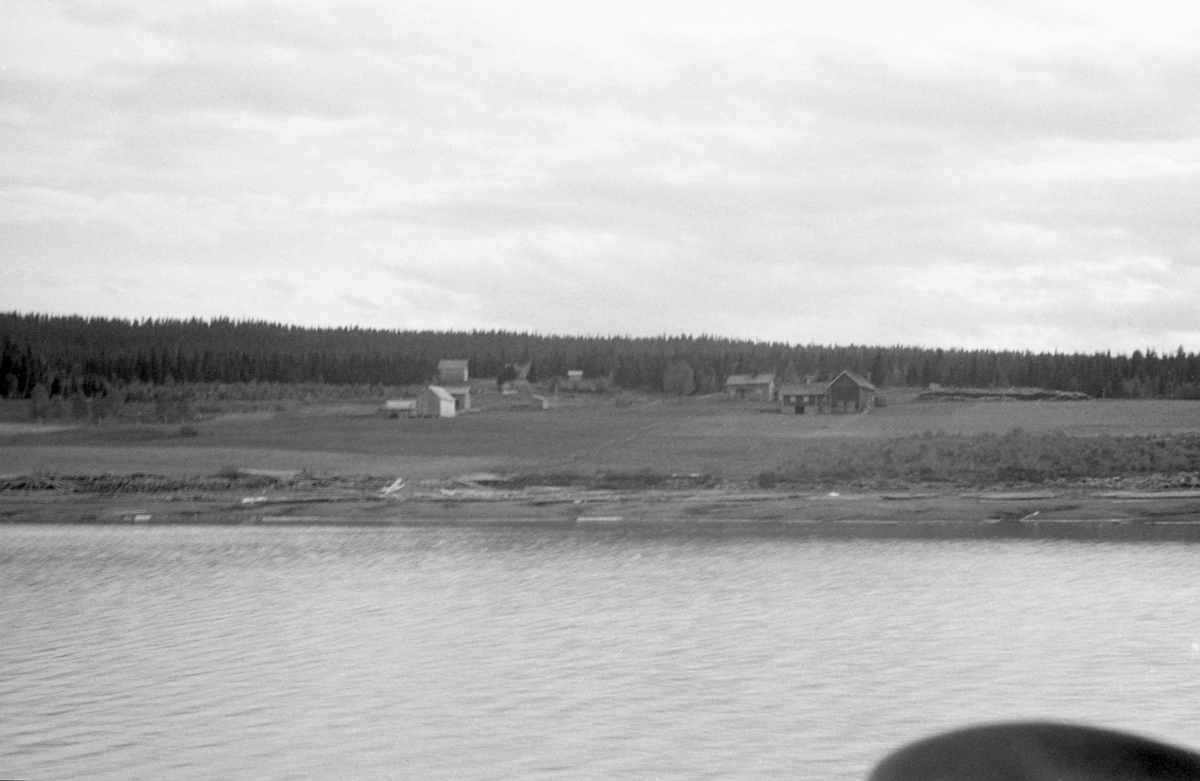 Parti fra Osensjøen ved Harviken i Søre Osen, på vestsida av sjøen, tidlig på sommeren 1941. Fotografiet er tatt fra båt inn mot land, der det ligger en god del tømmer et stykke opp på stranda mot den nedtappete sjøen.  I lia bakenfor ses jordene og bebyggelsen på gardsbruket Harviken, og bakenfor der igjen er det en lav ås med barskog.  Et mørkt objekt ved nedre bildekant er antakelig hattepullen til en mann som har sittet i samme båt som fotografen.

I 1941 ble 150 683 tømmerstokker innmeldt til fløting fra Osensjøens strender. Dette utgjorde om lag 30 prosent av leveransene i Osenvassdraget. Det øvrige virket kom fra tilløpselvene og fra avløpselva Søndre Osa med sidevassdraget Østre Æra. 1941 ble for øvrig en helt spesiell fløtingssesong i Osen. Glommens og Laagens brukseierforening tappet nemlig sjøen kraftig foregående vinter. Ettersom det var lite snø og en kjølig vår med lite nedbør, tok det lang tid å fylle sjøen igjen. Her lå det fortsatt tømmer i ei tørrlagt strandsone, sjøl om bildet er tatt i juni. Tappinga av fløtingsvirke gjennom Osdammen ble ikke startet før 4. august. Dette innebar etterfløting i Glomma sør for Rena, der østerdalstømmeret for lengst hadde passert, og ikke ubetydelige ekstrakostnader for Glomma fellesfløtingsforening. Utgiftene knyttet til utislagsarbeidet langs Osensjøens strender ble en forhandlingssak mellom skogeierne og Brukseierforeningen.