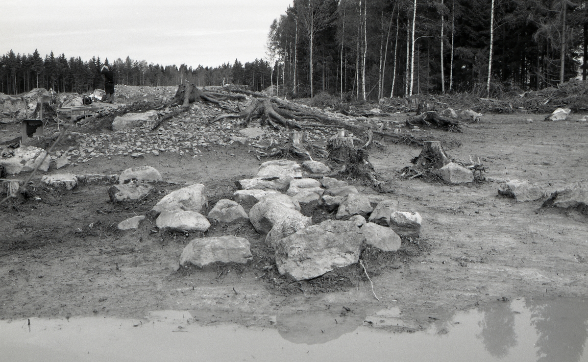 Odlingssten intill A 6460. Foto från söder.