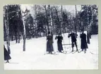 Stockholm. 
En grupp män och kvinnor åker skidor. 1901.