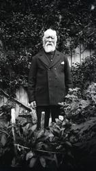 Bernhard Færøyviks samlinger