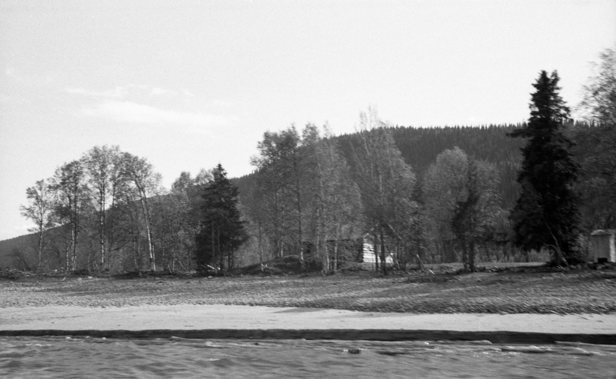 Fra Ørnesset i Søre Osen.  Fotografiet er antakelig tatt fra Osensjøen inn mot land.  Det viser ei sandstrand inn mot et laftehus omgitt av grasvoll.  Ei trerekke over grasvollen, foran huset, gjør det vanskelig å ta stilling til om dette er ei koie eller ei løe.  I bakgrunnen en markant ås med barskogsvegetasjon. 