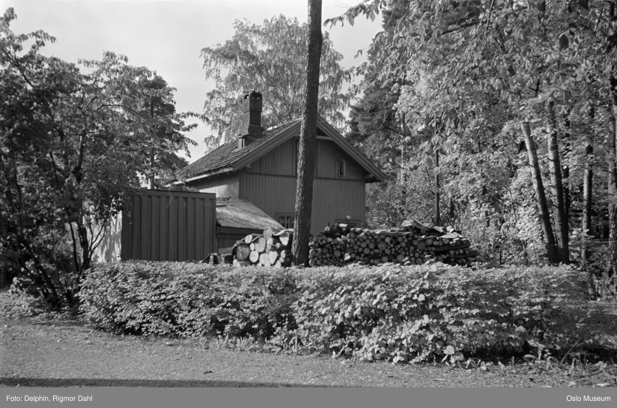 bolighus, hage, vedstabel