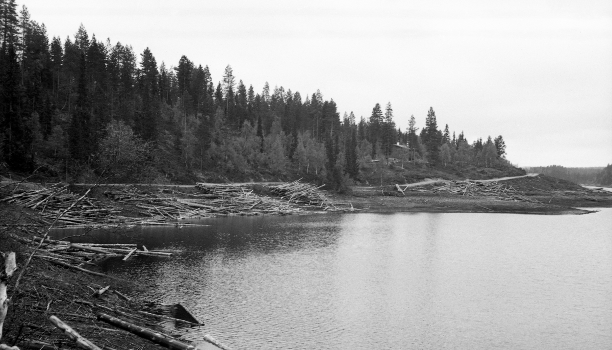 Fra Lomvika i Vesle-Osen, lengst sør i Osensjøen.  Fotografiet er tatt fra en odde inn mot vika, der en masse fløtingstømmer er veltet fra vegen nedover skråningen mot stranda.  Enkelte stokker har nådd vannflata, men mange ligger litt huilter til bulter i skråningen.  Her måtte fløterne åpenbart arbeide en del før alt virket var på vannet.  Landskapet omkring Lomvika preges av granskog med enkelte bjørketrær i kantene.

I 1941 ble 150 683 tømmerstokker innmeldt til fløting fra Osensjøens strender. Dette utgjorde om lag 30 prosent av leveransene i Osenvassdraget. Det øvrige virket kom fra tilløpselvene og fra avløpselva Søndre Osa med sidevassdraget Østre Æra. 1941 ble for øvrig en helt spesiell fløtingssesong i Osen. Glommens og Laagens brukseierforening tappet nemlig sjøen kraftig foregående vinter. Ettersom det var lite snø og en kjølig vår med lite nedbør, tok det lang tid å fylle sjøen igjen. Her lå det fortsatt tømmer i ei tørrlagt strandsone, sjøl om bildet er tatt i juni. Tappinga av fløtingsvirke gjennom Osdammen ble ikke startet før 4. august. Dette innebar etterfløting i Glomma sør for Rena, der østerdalstømmeret for lengst hadde passert, og ikke ubetydelige ekstrakostnader for Glomma fellesfløtingsforening. Utgiftene knyttet til utislagsarbeidet langs Osensjøens strender ble en forhandlingssak mellom skogeierne og Brukseierforeningen.