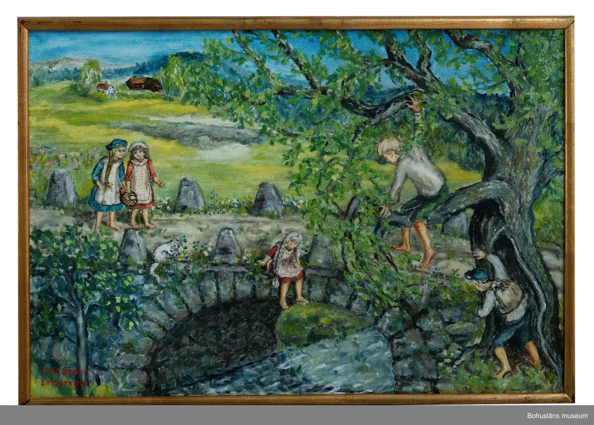 Nu har jag med börjat skolan
Vi har sällskap med andra barn från gårdar efter vägen. Ibland väntar vi på varandra. Annars lägger vi en liten sten på en stubbe, och den puttar vi ner på morgonen så de andra vet att vi har gått. Jag behöver inte bära något för det gör Allan och Göran. De bär ryggsäckar, som vi har böcker och skolmaten i. Skolmaten är smörgåsar och mjölk, som vi har i vichyvattenflaskor med patentkork på. Patentkorken är av vitt porslin med en röd gummiring på, så knäpper man fast den med en ståltrådsgrej, och då blir det alldeles tätt så ingen mjölk rinner ut över böckerna.
Det är hemskt viktigt att vi är rädda om böckerna, för dem får pappa betala. Allteftersom vi ungar "växer" i dem, och ärver dem av varandra, klär mamma om dem med ny vaxduk. Min bok är gul med gröna päron och lila plommon på, och luktar speciellt trevligt, tycker jag.
Vi sitter ute och äter när det är vackert väder, annars sitter vi i bänkarna och på skohyllan.

Alma Stenvall heter vår lärarinna. Hon har en tös som heter Ann-Britt. Vi är lika gamla Ann-Britt och jag. Ibland blir jag bjuden att stanna över hos Ann-Britt, och då leker vi hela eftermiddagen, och sen ligger vi och fnissar och viskar tills vi somnar i samma bädd.

Nu är jag inte Ojan längre. Inte i skolan. Här är jag alltid Tora. Jag har fått många nya kamrater. Det är fler pojkar än flickor i vår klass. En pojke har en alldeles onaturligt ren tumme. Den håller han i mun och suger på, och rätt som det är så sover han. En annan pojke stammar när han skall svara på frågor, fast han kan alltid, men han stammar så han blir alldeles röd, och sedan skrattar han och är så glad och rar. Jag tror inte det är någon som retas med honom.

Vi leker så roliga lekar på rasterna. Mest är det nog ringdanser som, "Det står en gosse uppå en ö, uppå de grönskande vallar" och "Jag gick mej ut en afton uti en lund så grön" och så förstås "Flickan hon går i ringen med rödan gullband". Så "mal" vi och "väger salt", och leker "Bro bro bränna", "Mor och alla hennes pepparkakor", "Kattas bröllop" och "Anka, ganka, gås i lann, räven är inte hemma, han är borte i andre lann, å slaktar fete galtar" och mycket annat som är så roligt.
 Ibland är pojkarna med och är jägare när vi leker "Hund och hare" och när vi leker "Änkeleken" och "Kungens söner".

När rasten är över får vi stå i två led. "Rättning, ställning, rakt fram" säger lärarinnan.
Vi har en "ronsa" i en gammal stor björk på skolgården, där vi brukar gunga till skiftes, tjugo gånger var. En dag när jag ville vara extra snäll vid Judit, min bänkkamrat, så fick hon "ronsa" min tur med, och när vi just kommit in och satt oss och tagit upp skolböckerna, så kräktes Judit över bok och bänk och förkläde och över mej med. Då blev lärarinnan så arg, så först slängde hon ut Judit, och sen åkte jag också ut, med några rapp av linjalen och tillsägelse att hjälpa Judit. Med vad, visste jag inte, men där stod vi i alla fall ute på gården och glodde dumt och olyckligt på varandra.
 
Alla flickorna har långa flätor, men en dag kommer Ellen och har kortklippt hår. Du milde petternicklas, vilket liv det blir på lärarinnan då. "Gjorde jag rätt skulle du få gå hem och knyta fast vartenda hårstrå", sa hon. "Fast du vill förstås att jag skall stackre dej på rampen" — säga stackars dej och klappa dej på stjärten - så brukar hon säga när hon är riktigt arg och det är hon inte alltför sällan, men hon kan vara mycket snäll och rolig också.

En annan gång var det väldigt sorgligt för då kunde inte Herman Falk katekesläxan. Det berodde på att Allan och Herman bråkat på hemvägen dagen före, och då hade Allan sparkat till korgen som Herman hade läxböckerna i så det yrde blad ur katekesen, och det var just de bladen som läxan var på förstås. Därför var det klart Allans fel att Herman inte kunde läxan. Ja, då så skulle minsann Allan få "sitta kvar". Sitta kvar? Vad skulle hända då? Skulle Allan få stryk tro? Jag vågade inte fråga om det, men vår vana trogen hemifrån, om stryk hotade så satte jag väl igång med att tjuta och snörvla. Eftersom det var första lektionen på morgonen så fick jag hålla på och böla mest hela dagen. Men det hjälpte inte. Allan fick "sitta kvar".
Vi satt på andra sidan dalen och väntade, och det tog inte lång stund alls, innan han kom springande. Men han var så flygande sinna - arg — för att jag satt där och böla, så han högg tag i mitt ena ben och drog mej utför sluttningen, och klänningen kasade upp, och de andra ungarna kunde se att mina kalsonger sprack. Ja, det var så olyckligt och skamligt och illa, så jag fick allt hålla på med gråtandet lite till.
Jag var egentligen glad för att det inte hänt något med Allan, och han var ju snart go igen, och det var bra. Men vi talade förstås inte om det hemma.

Annars är det väldigt spännande och roligt i skolan om dagarna, för det är vägarbetare som spränger i Kleven, och då får vi allesamman tränga ihop oss i lärarinnans trappuppgång, där det blir alldeles mörkt när dörrarna stängs. Då är det alltid någon pojke som passar på att dra i en fläta eller nypa en flicka som han tycker om, lite försiktigt bara. Och flickorna skriker förstås.
Rallarna kommer och sätter upp luckor för fönstren, och så ropar de: "Tääänt va de hääär", och sen smäller det, och stenbumlingar och flisor yr omkring väggarna. Vi tycker det är väldigt bra för då måste lektionen avbrytas en stund och rasten kommer fortare.

De pojkarna som håller utkik på de stora råttorna som smyger runt hönshuset, är inte ledsna de heller, när de alltibland springer från läxförhör och ut på råttjakt - med lärarinnans glada uppmuntran och vi andra ungar nyfikna i fönstren.

På hemvägen är det alltid någon som skall in i affären i Skåneröd och handla. Ulla i Västersäter eller "Rosegunnar". Gunnar Roos heter han allt, men vi säger "Rosegunnar." Då har Henry som är sexton år och står bakom disken, dagens stora nöje. "Ä dä du Allan som ä starkast i da?" "Nä dä ä nog Gunnar".
"Fast jag tror allt att Allan kan ta dej i da".
"Men du Gunnar ä längst, så du lägger nog Allan."
När han hållit på så ett tag och retat dem, så flyger de ihop och rullar runt i dammet på golvet. Och Henry hejar på dem, än den ene, än den andre, tills de gett och fått så mycket stryk de kan tåla för den här gången. Vi andra håller oss efter väggarna, tills det hela är över, och hjältarna torkat bort det värsta av snor och näsblod. Så får de kanske var sin karamell av Henry, som belöning och plåster på såren. Annars gör de det gärna, och alldeles gratis.
Föreställningen är över, och Allan hjälper Gunnar med den stora tunga korgen med varor. De bär den emellan sig upp för alla branta backar och de är de allra bästa vänner i världen.

Tora Bohlin Landström ur "Barnsliga bilder med gullkant på", sid. 76 - 80.
