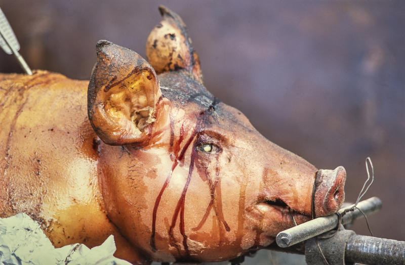 Helstekt gris med marinade rennende over ansiktet.