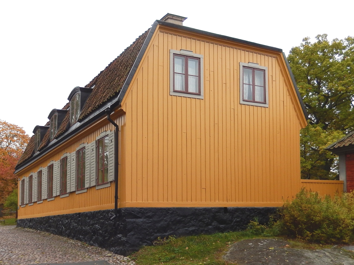 Hazeliushuset på Skansen är en timrad byggnad i en våning med inredd vind. Fasaden har stående profilerad locklistpanel målad med gul linoljefärg. Fönstersnickerierna är målade med linoljefärg i engelskt röd, fönsterluckorna är grå. Taket är brutet och valmat, klätt med enkupigt lertegel. På varje takfall finns tre takkupor med fönster upptagna. Skorstenarna är tre, murade och putsade.

Entrén är vänd mot gården och försedd med en stentrappa samt baldakin i bemålad plåt.

Byggnaden låg tidigare på Surbrunnsgatan i Stockholm, i det kvarter som nu avgränsas av Odengatan, Sveavägen, Surbrunnsgatan och Hagagatan. 

I huset föddes Skansens grundare Arthur Hazelius den 30 november 1833. Byggnaden skänktes av sällskapet "Vänner till Pauvres Honteaux" 1916 och flyttades till Skansen 1926.